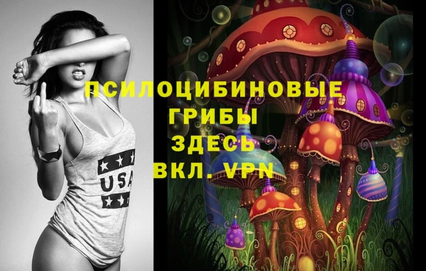 молекула духа Лабытнанги