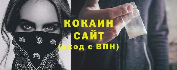 молекула духа Лабытнанги