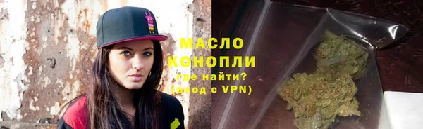 молекула духа Лабытнанги