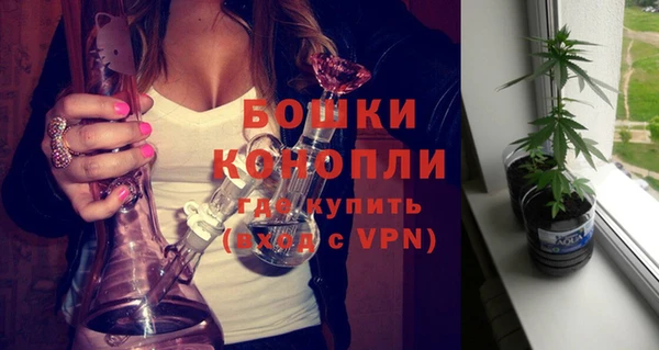 молекула духа Лабытнанги